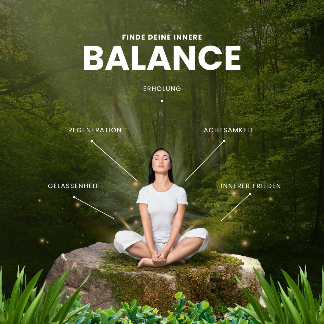 Zensu Detox Foot Pads - Entgifte im Schlaf